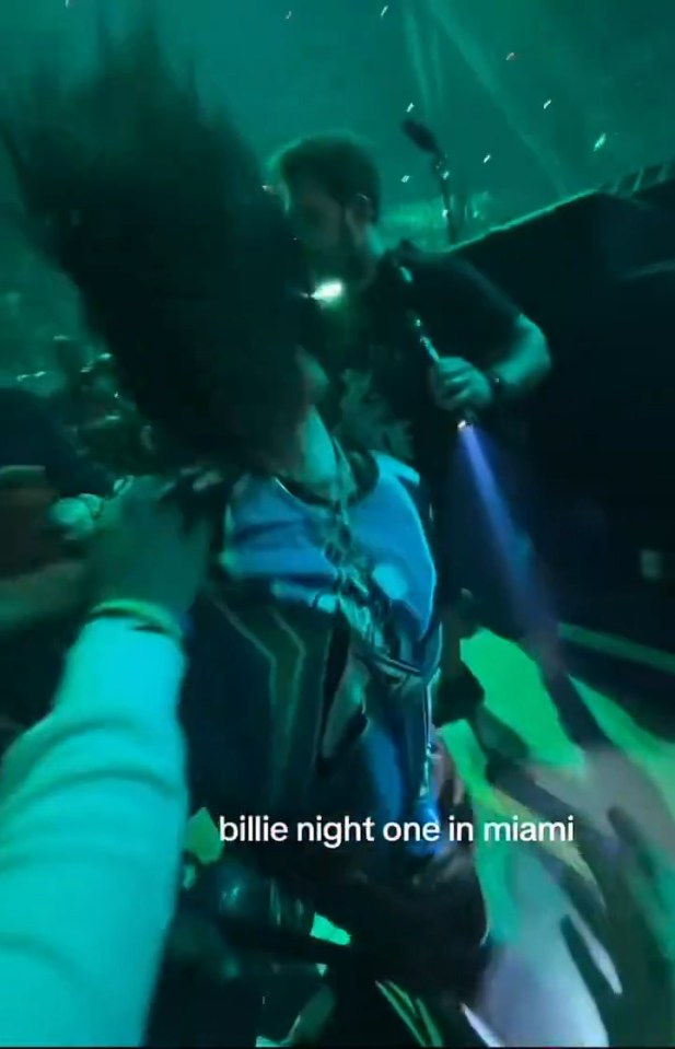Billie Eilish with dark hair being pulled down by a fan.